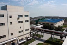 新疆上昵生物科技有限公司